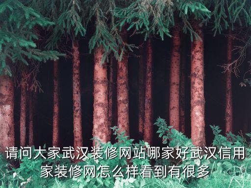 請問大家武漢裝修網(wǎng)站哪家好武漢信用家裝修網(wǎng)怎么樣看到有很多